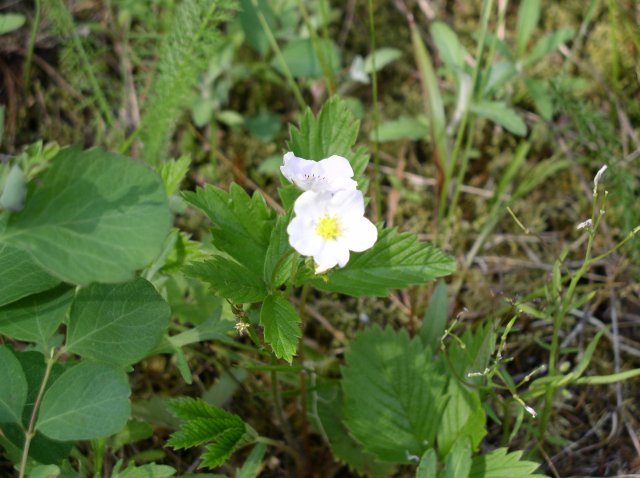 5.5.06 Eagle Creek 035 